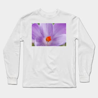 Crocus  'Queen of the Blues'  Dutch crocus. Long Sleeve T-Shirt